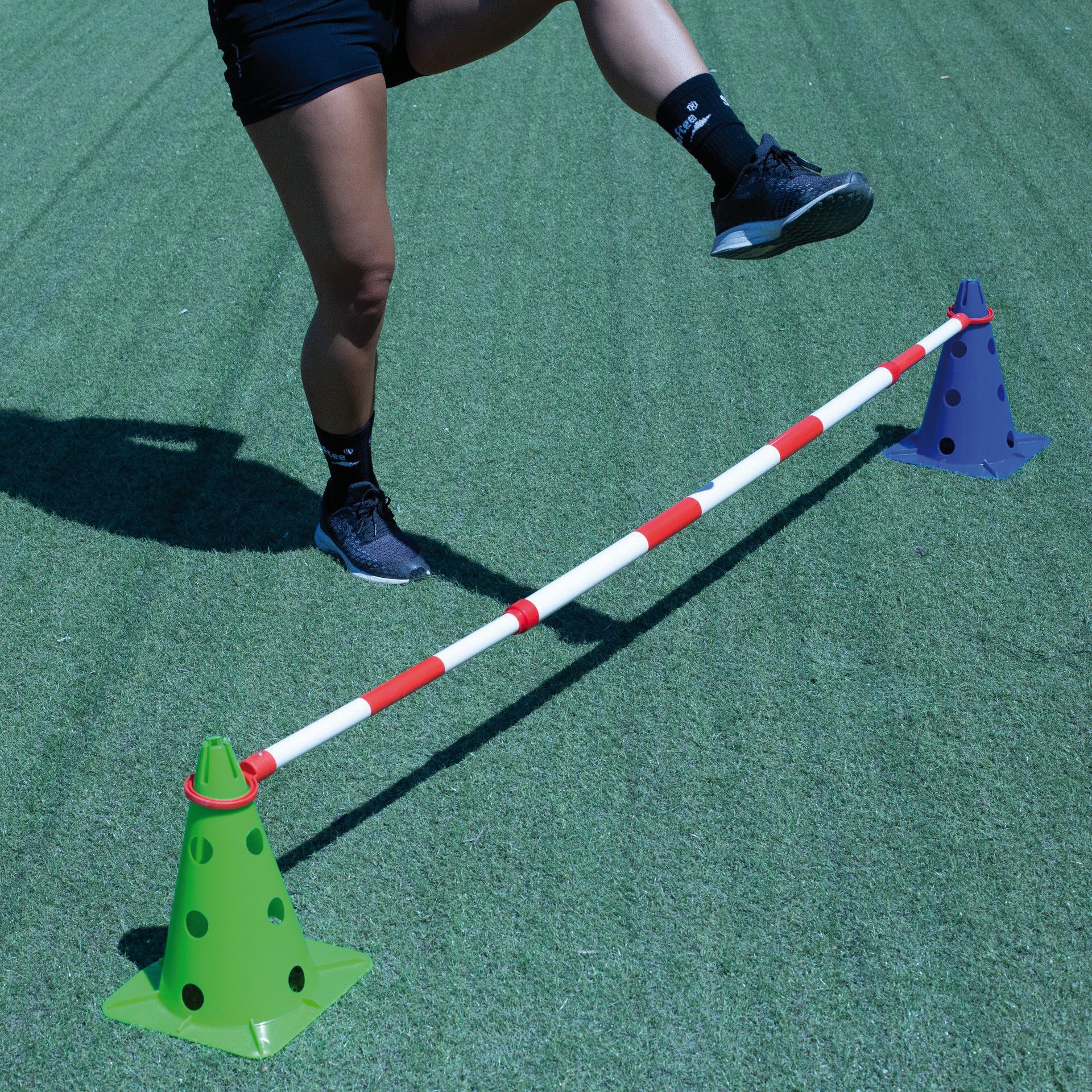 Pica para Valla Extensible