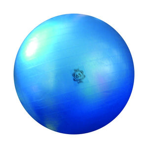 FLEXI BALL 65 cm.